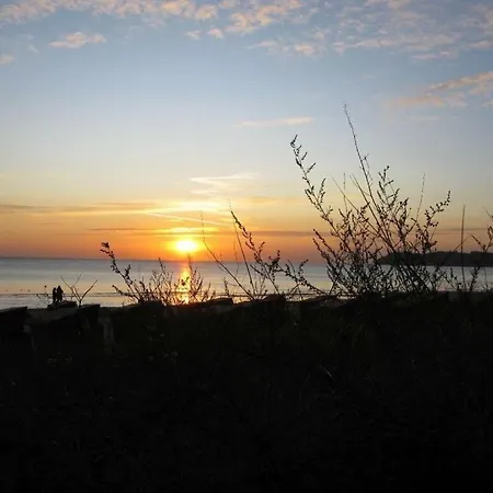 254 Binz
