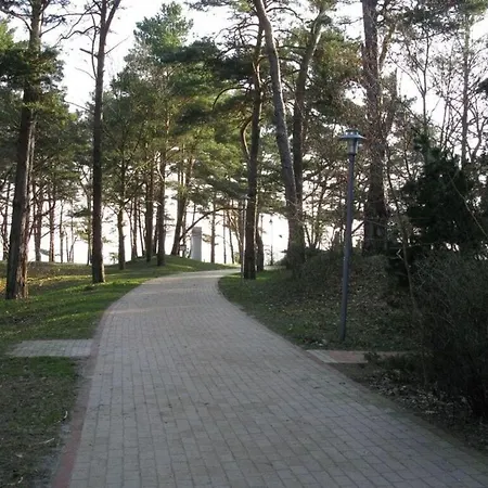 254 * Binz